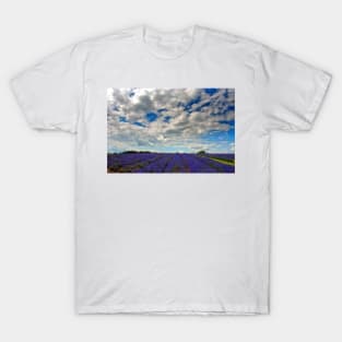 Lavender Field Summer Flowers Cotswolds England T-Shirt